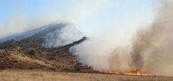 Mountain on Fire - fire on Stephenson farm